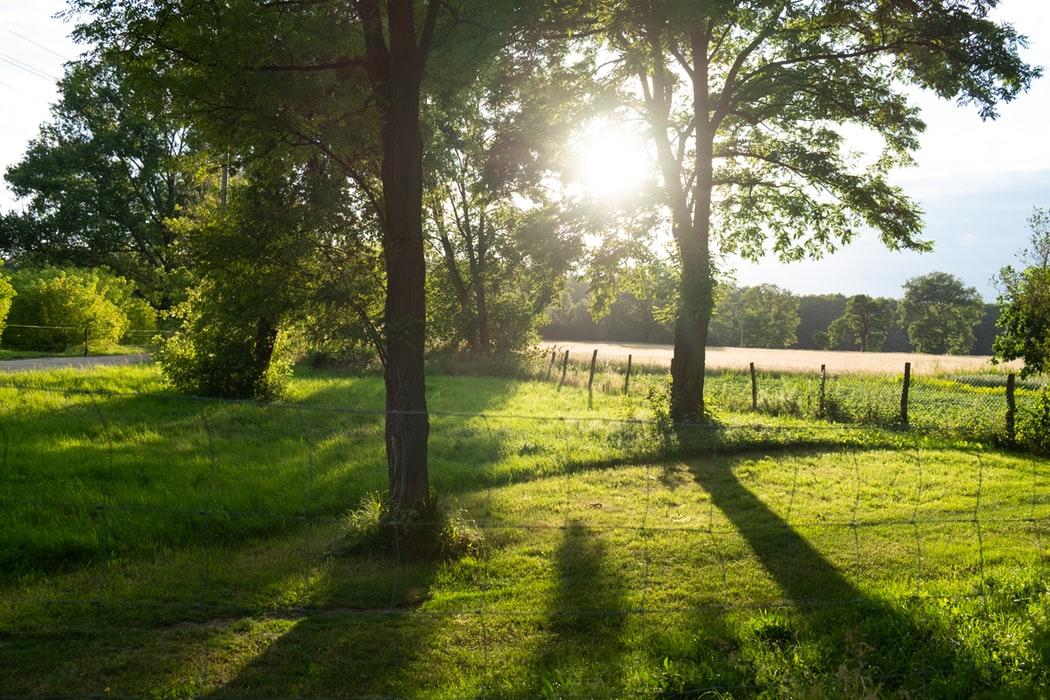 Foto Lausitz