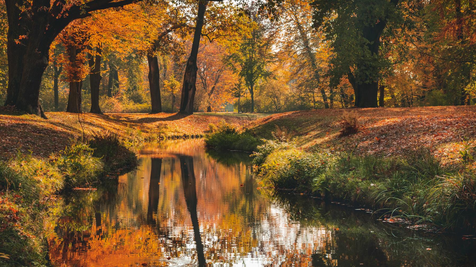 Bad Muskau Fürst-Pückler-Park